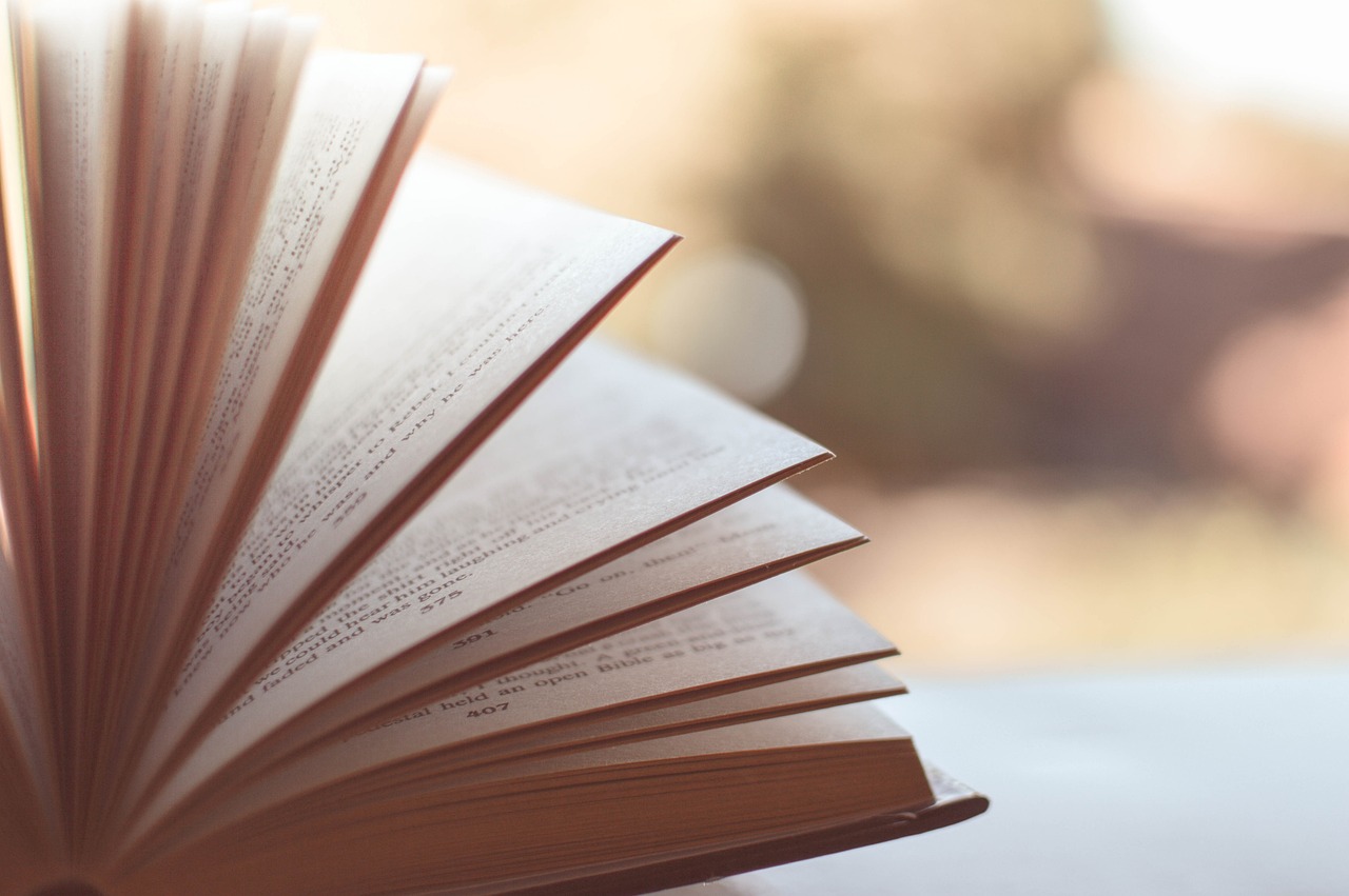 Colleen Hoover: šiuolaikinės romantinės literatūros fenomenu tapusios knygos